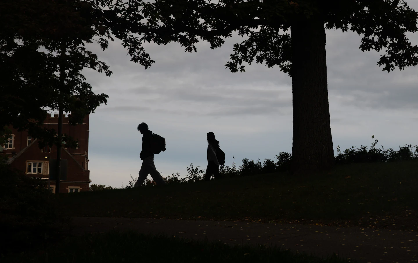 Cornell raises an uncomfortable question about consent